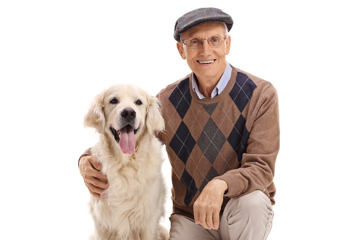 9 Best Dogs for Old People Who Love Animals - Haley's Daily Blog